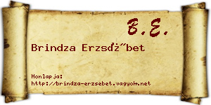 Brindza Erzsébet névjegykártya
